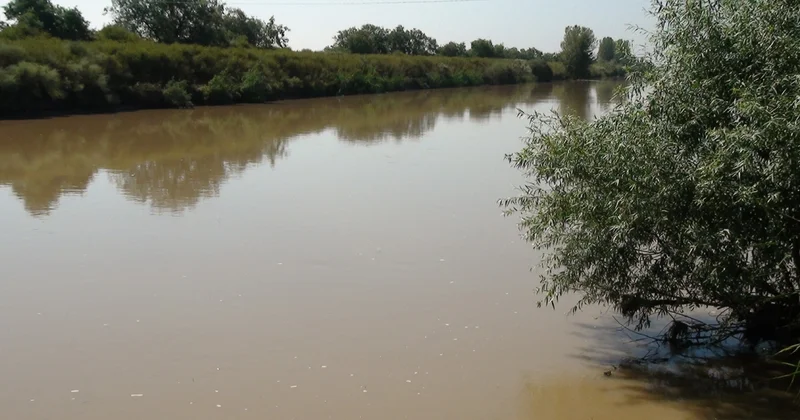 Yol kənarında alver edirdi Avtomobilin zərbəsindən kanala düşdü
