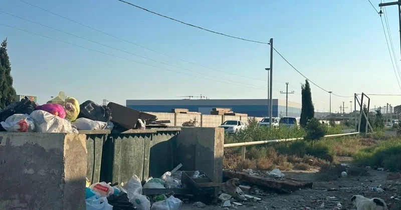 Lökbatanda unudulmuş küçə: Sakinlər palçıq və zibil içində əziyyət çəkir