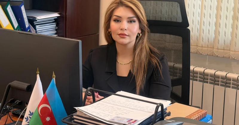 Milli Mətbuatın inkişaf strategiyası