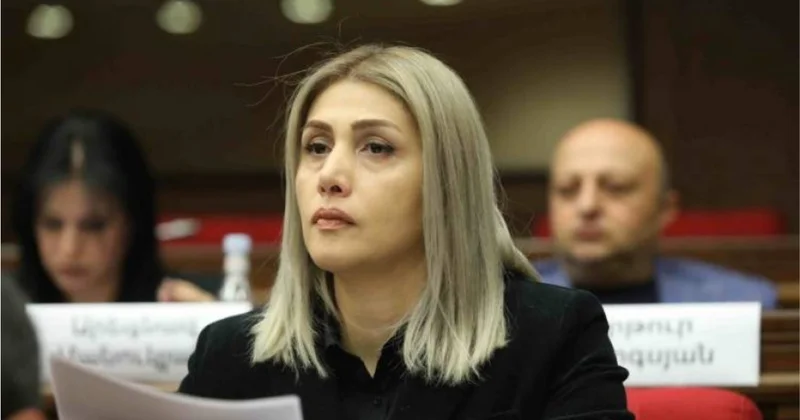 Vardanyan: “Ermənistan Vaşinqtonda uduzub”