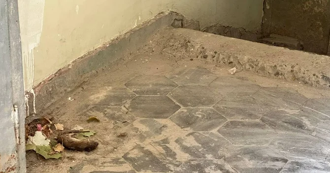Sumqayıt sakinləri narazıdır Blokda təmizliyə kim cavabdehdir?