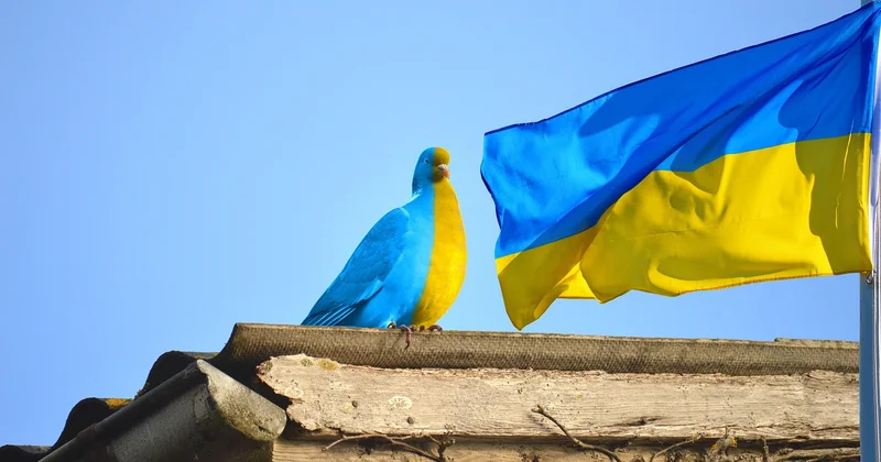 Три четверти украинцев уверены в победе в войне с Россией ФОТО