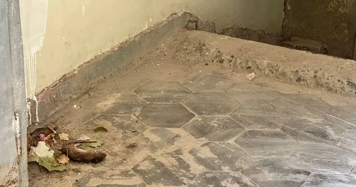 Коммунальный кошмар: подъезд в Сумгайыте превратился в опасную свалку