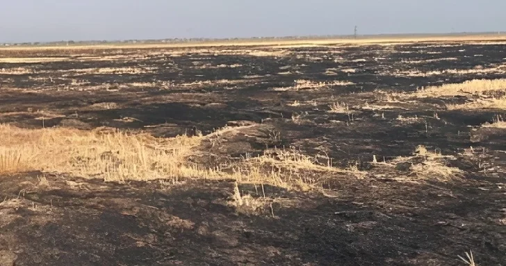 Мужчина, совершивший поджог в Джалилабадском районе, привлечен к ответственности