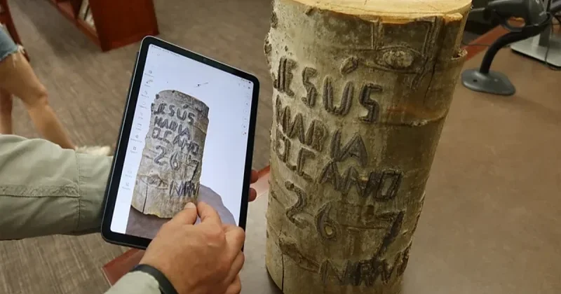 ABŞ dakı ağacların üzərində qədim baskların oyma yazıları aşkarlandı
