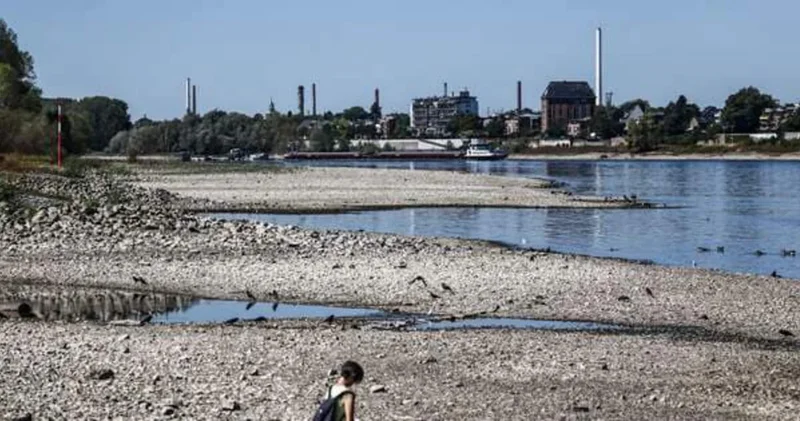 В Рейне уровень воды постепенно повышается после рекордного снижения