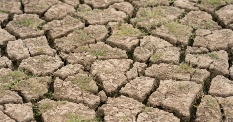 ABŞ nin Vircin adalarında fövqəladə rejim elan edildi