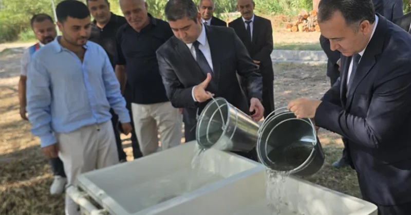 Naxçıvanda balıqçılıq təsərrüfatları bərpa olunur: onlarla yeni iş yeri yaradılacaq