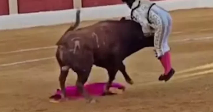 Matador bu döyüşündə unutmayacağı anlar yaşadı DƏHŞƏTLİ GÖRÜNTÜLƏR