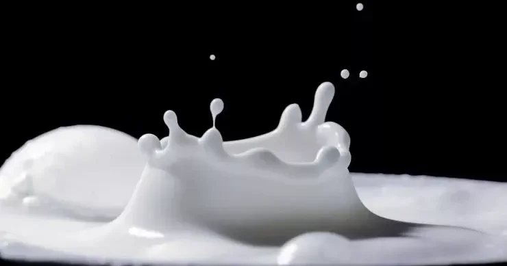 Hər gün 1 stəkan süd içmək xərçəngin qarşısını alır