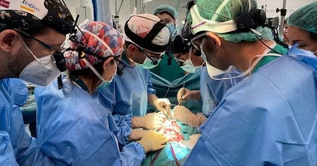 Ən gənc meyit orqanı 30, ən yaşlısı isə 68 yaşında OLUB