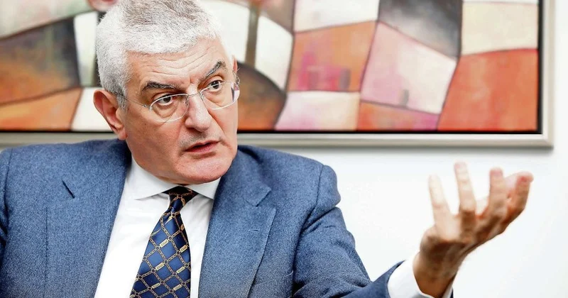 Нанни Беккалли Фалько: Азербайджан вступает в фазу зрелого развития