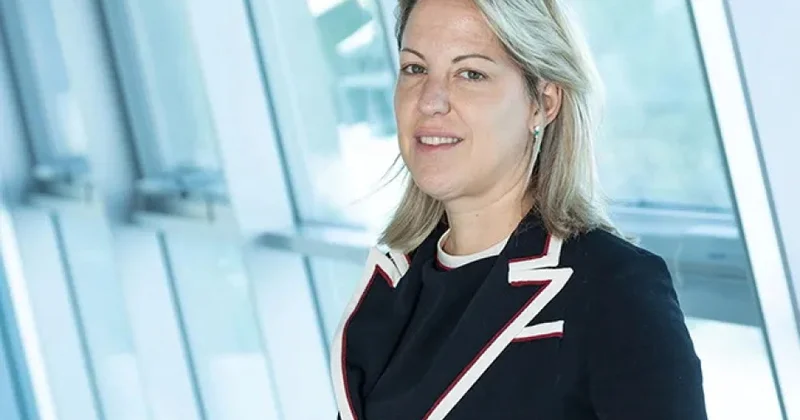 Ekspert: Azərbaycan yüksəkkeyfiyyətli polad və metalların istehsalı üzrə regional mərkəzə çevrilə bilər MÜSAHİBƏ