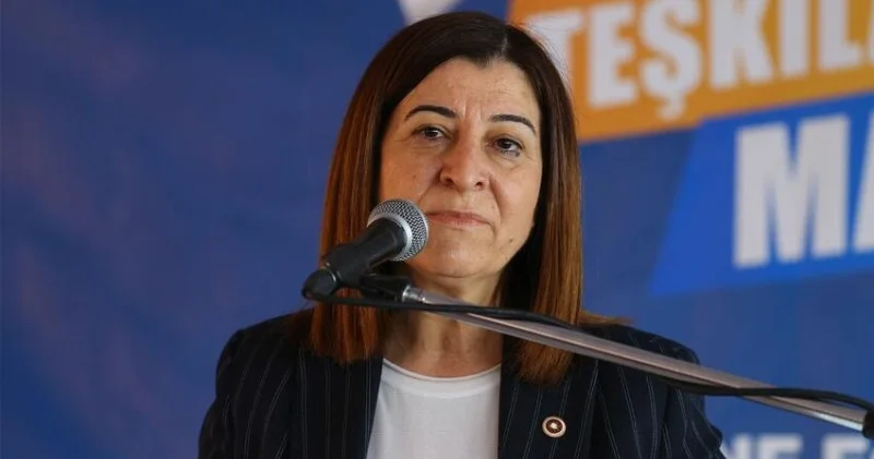 Türk deputat İrəvanda Zəngəzur dəhlizindən danışdı