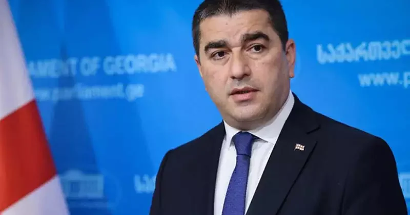 Papuaşvili: Xaricdən maliyyə dəstəyi ilə hakimiyyəti dəyişmək mümkün deyil