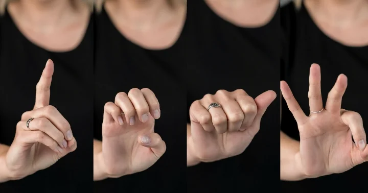 İşarə dilinin danışanları: bir jest bir cümlədir