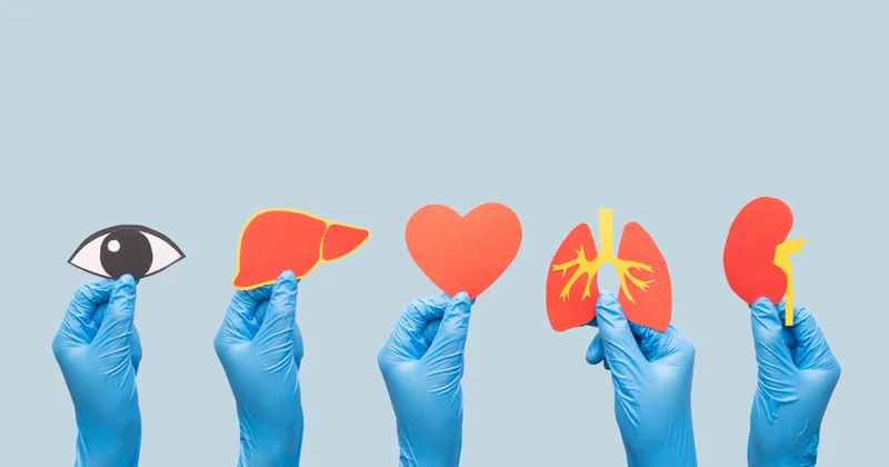 5 il ərzində “Türk transplant” platforması yaradılacaq