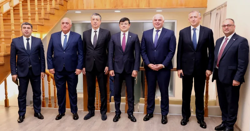 Gürcüstanın idman naziri Diaspor Komitəsində olub Fotolar