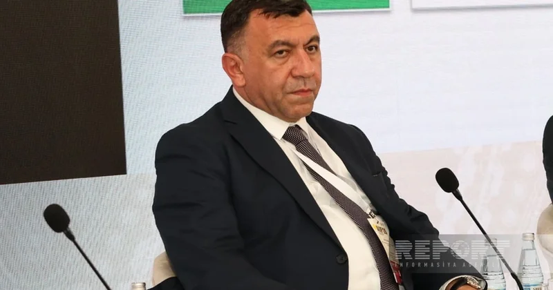 Səməd Bəşirli: Azərbaycan yüksək əlavə dəyərli məhsullar istehsal etməyə çalışır