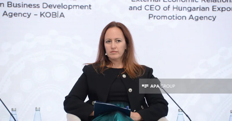 Katalin Bihari: Macarıstan Azərbaycanda müxtəlif infrastruktur layihələrinə investisiyalar qoyur