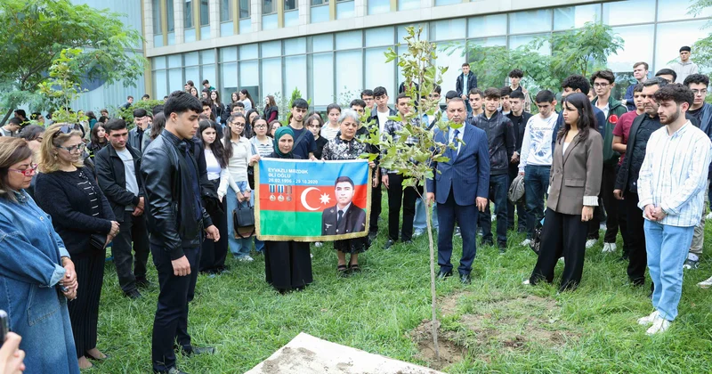 UNEC də kök salan şəhidlər: Onların xatirəsi Xan çinarla əbədiləşdirildi