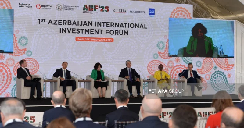 Rolande Pryce: Qara dəniz və Xəzər dənizi mühüm enerji dəhlizləridir