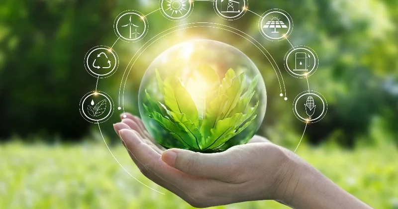 Azərbaycanda Yaşıl Enerji Sənaye Parkı yaradılacaq