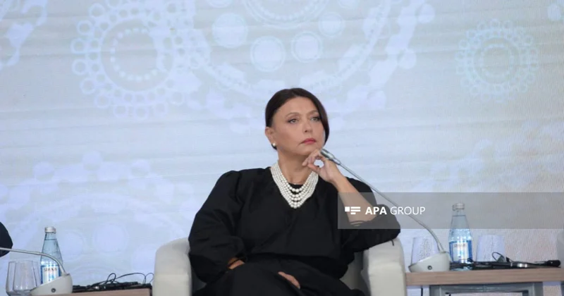 Nazir: Monteneqroda ən gözəl kurortlardan birini Azərbaycan inşa edib
