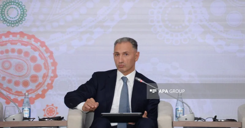 Rəşad Nəbiyev: Zəngəzur dəhlizi Orta Dəhlizin mühüm hissəsinə çevriləcək