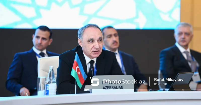 Kamran Əliyev beynəlxalq konfransda Zəngəzur dəhlizinin əhəmiyyətindən DANIŞDI