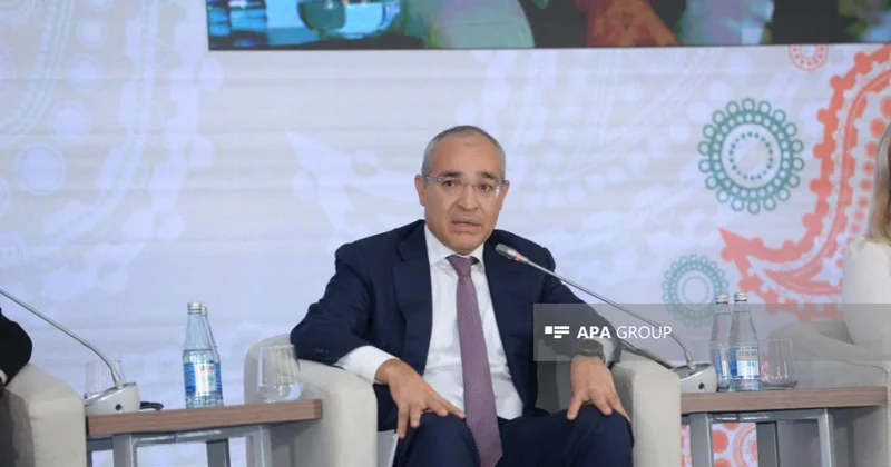 Nazir: Qafqaz və Mərkəzi Asiyanın iqtisadi kapitalizasiyası üçün yeni mərhələ başlayır