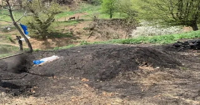 Qanunsuz kömür quyuları aşkarlandı