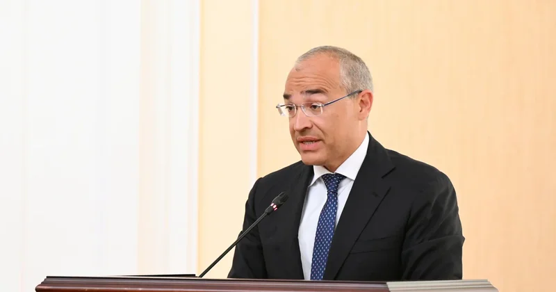Микаил Джаббаров: Азербайджан сделает ставку на глубокую переработку сырья