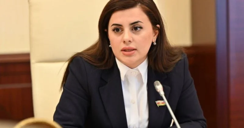 Депутат: Армянские власти дирижируют антиазербайджанской кампанией