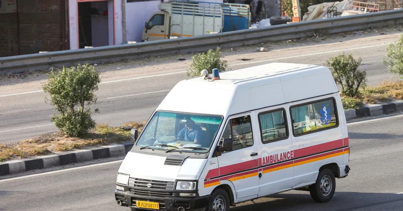Məşhur yazıçının həyat yoldaşı meymun hücumundan sonra vəfat etdi
