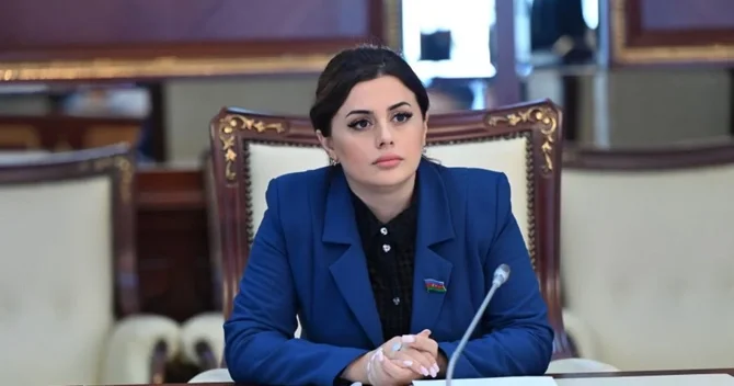 Pərvanə Vəliyeva: Azərbaycanda dağ mədən sənayesinin illik maliyyə təsiri 1 milyard manatı ötəcək