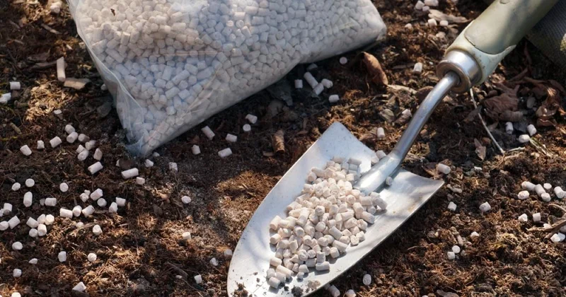 Tramp Putinin müttəfiqindən gübrə alacaq Kanada ilə münasibətlər korlanıb