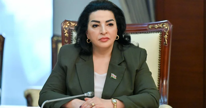 Deputat: Enerji effektivliyi ilə bağlı qanunvericiliyin təkmilləşdirilməsi mühüm əhəmiyyət daşıyır