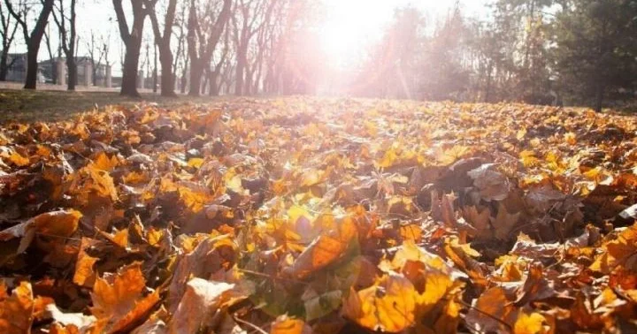 Oktyabrın 23 də gözlənilən hava şəraiti