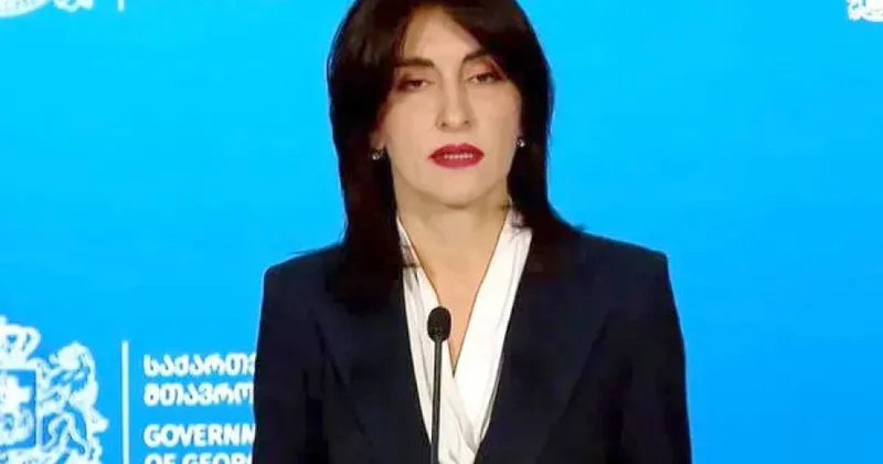 Maka Boçorişvili: Cənubi Qafqazda yaranmış yeni reallıq bölgəyə əlavə dəyər qatır