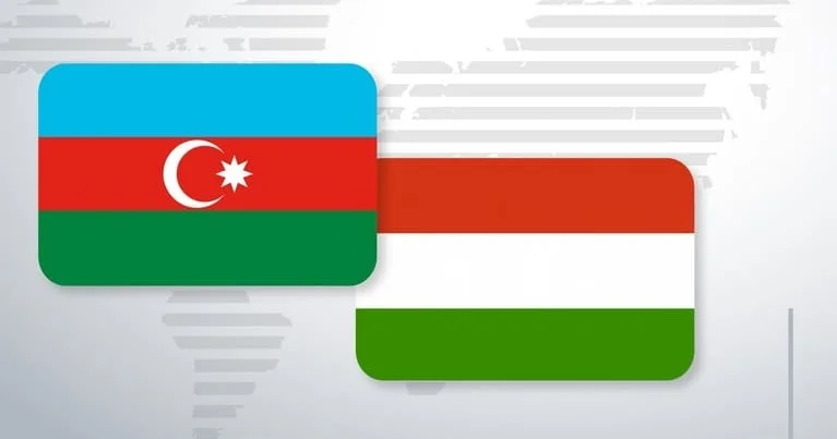 Macarıstanda 1500 dən çox azərbaycanlı tələbə təhsil alır