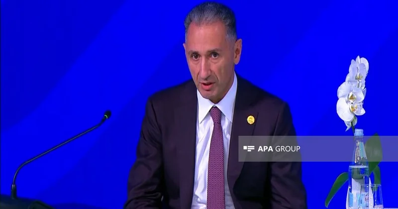 Rəşad Nəbiyev: Orta Dəhliz Şərqlə Qərbi birləşdirən arteriyalardan biridir