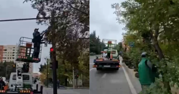 Nizamidə yol polisi problemli nöqtələri üzə çıxardı; ağacları budayıb normal şərait yaratdılar VİDEO