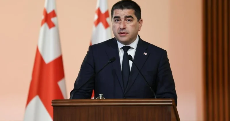 Gürcüstan parlamentinin spikeri: Aİ ni ölkədəki terrorçuları dəstəkləyir
