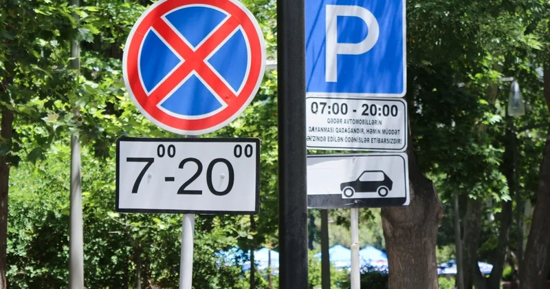Yol nişanlarının qarşısını kəsən ağaclara qarşı niyə tədbir görülmür?