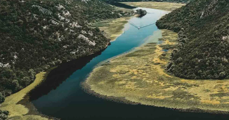 Monteneqro Skadar gölünün UNESCO siyahısına salınmasını istəyir