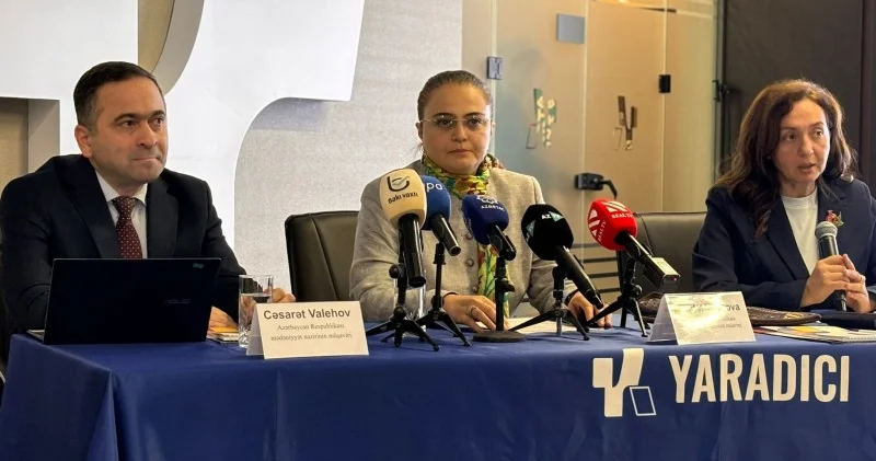 Müşavir: Azərbaycanda yaradıcı sənaye üçün kadr çatışmazlığı müşahidə olunur