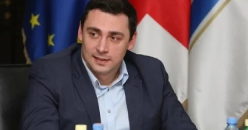 Laşa Abaşidze: Gürcüstan qonşu ölkələrlə elektron gömrük rəsmiləşdirilməsinin tətbiqi üzərində fəal iş aparır