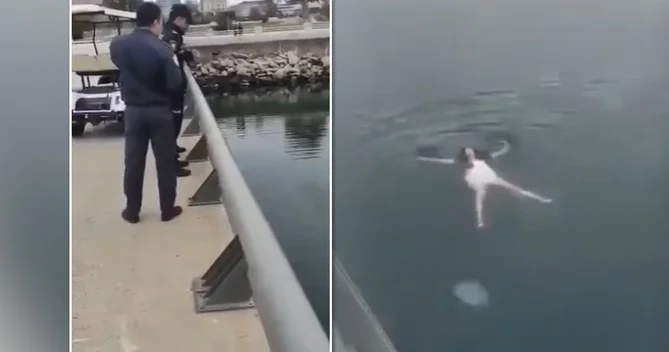 Turist qadın bulvarda çimdi