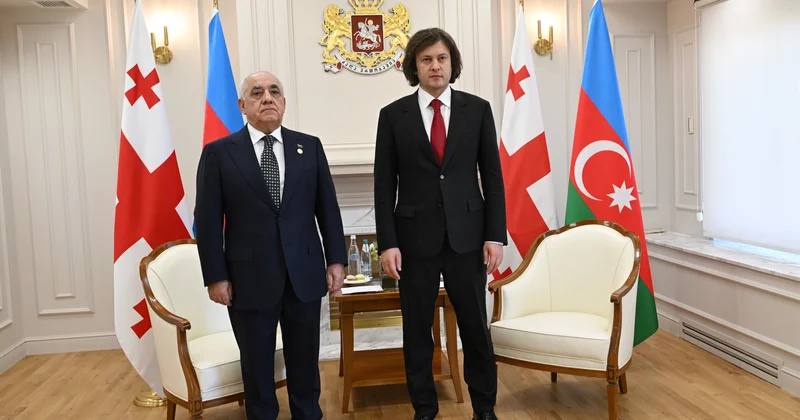 Али Асадов на приеме у Кобахидзе ФОТО